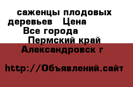 саженцы плодовых деревьев › Цена ­ 6 080 - Все города  »    . Пермский край,Александровск г.